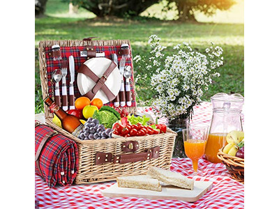 Picnic Basket Designer With Plastic Place Packing Hamper For 2 Hiking Stainless