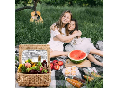 Picnic Basket With Shoulder Strap Wicker 4 Person Baskets Bags For