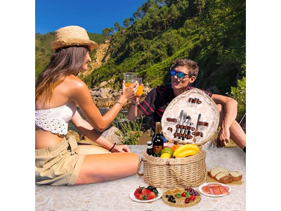 Small Picnic Basket Rts Storage With Handle Service For 4 Shape Home