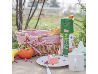 Woven Wood Chip Picnic Baskets Basket International Folding Storage