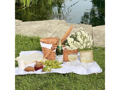 Basket Picnic 2 Sets Junior Display With Drink Holder Plastic Rattan