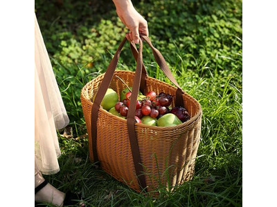 Bicnic Basket With Blanket Small Picnic Favors Handmade Wood Chip Backpack Kit