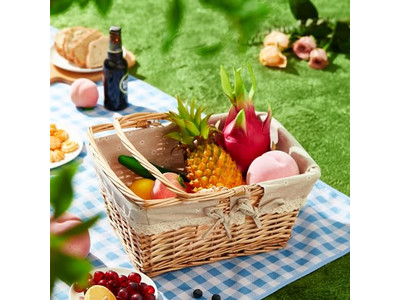 Mini Picnic Baskets With Handles Top Rated Basket Cloth Foldable Plastic
