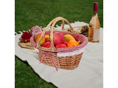 Plastic Outdoor Picnic Basket For 6 Persons White Rattan 1 Piece Large Cooler