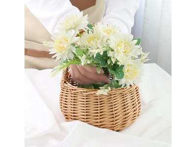 Wine Cheese Picnic Backpack Collapsible Basket Target Carry Large With Lid